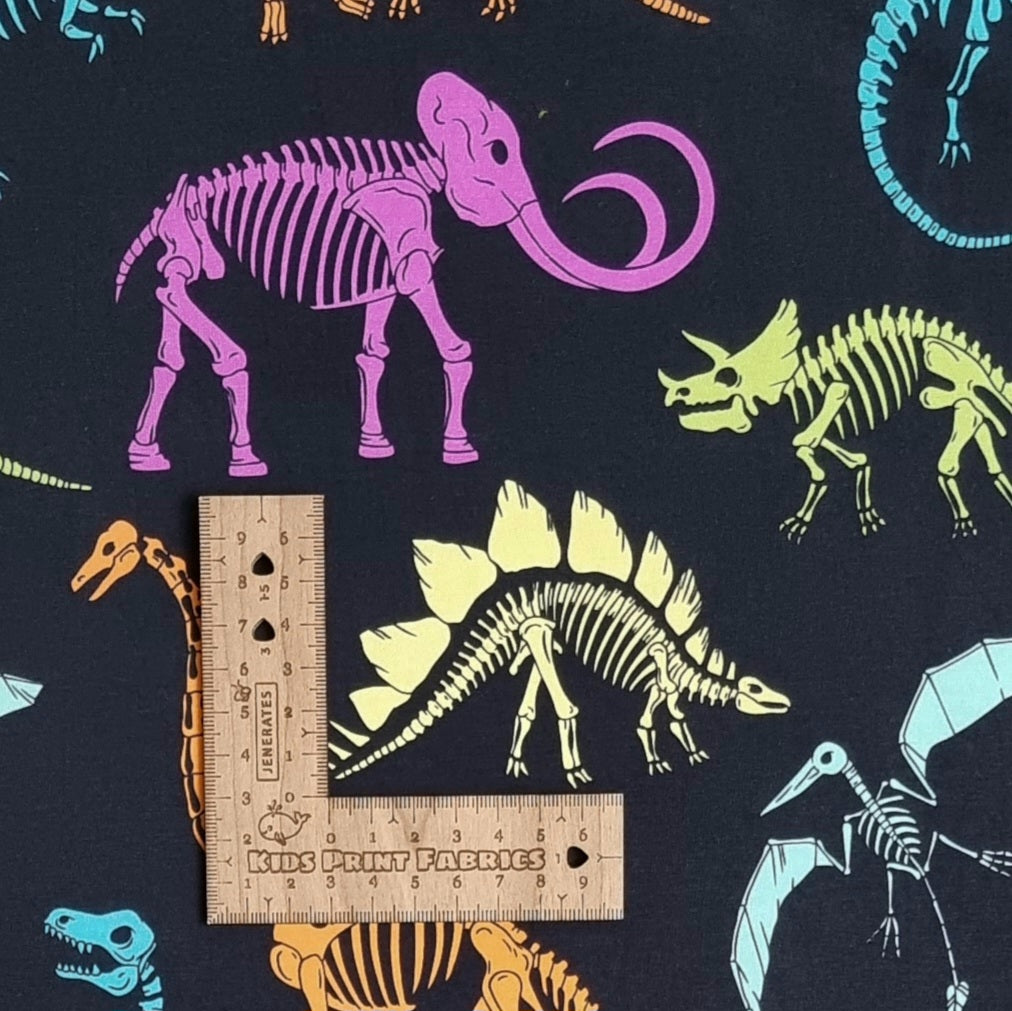 Dino Skeleton
