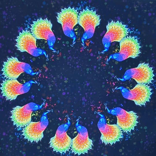 Peacock circle skirt child