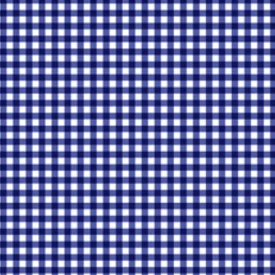 Dark Blue Gingham