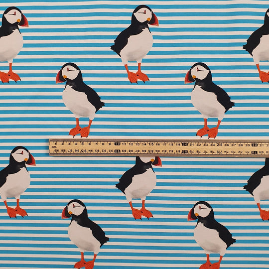 Puffin stripes