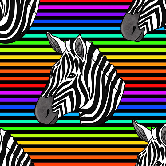 Rainbow stripe zebra