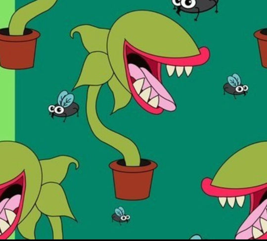 Venus flytrap